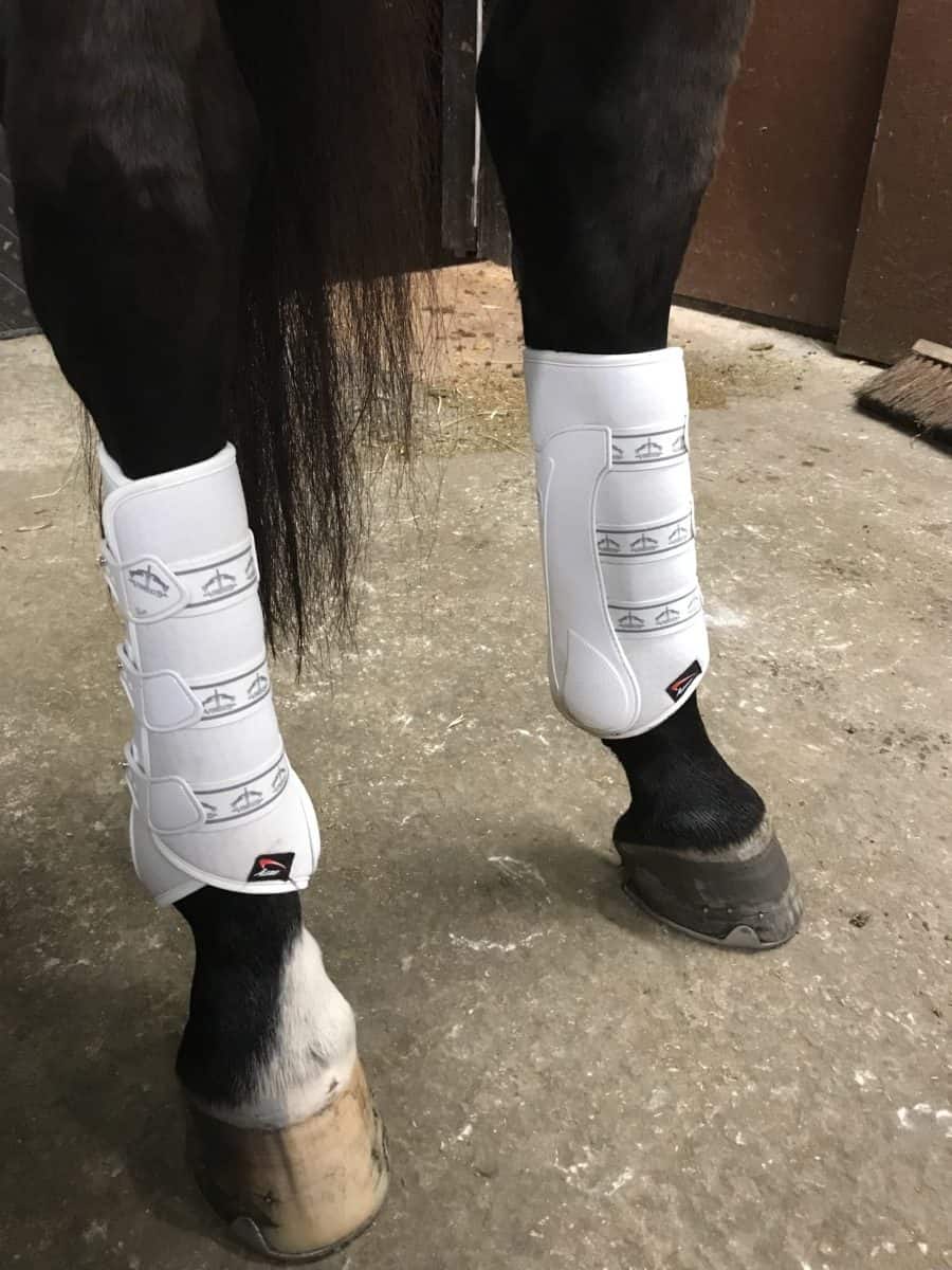 Best Leg Boots – Horse Learner