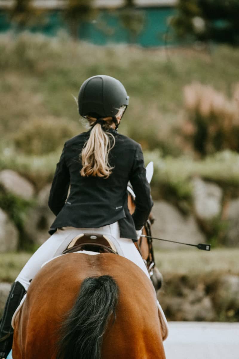 Is Horse Riding Easy To Learn? What You Need To Know – Horse Learner