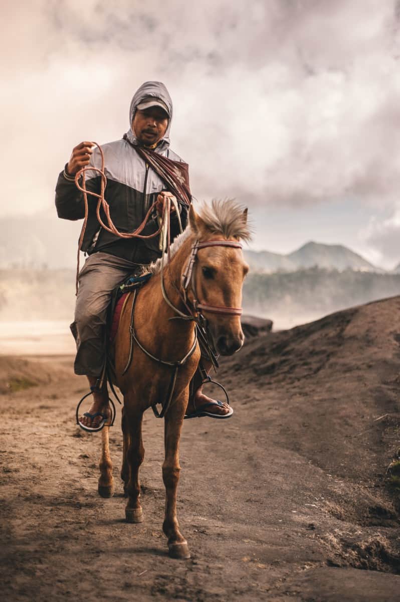 How Much Weight Can A Horse Carry On Its Back