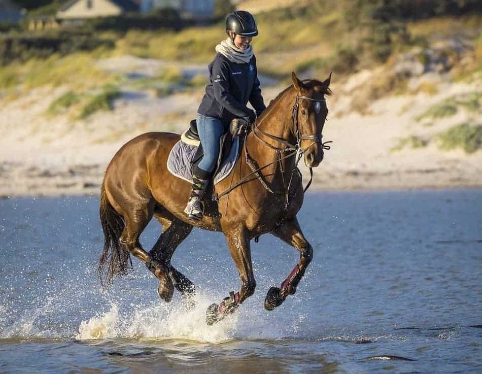 18 Amazing Benefits Of Horse Riding And Why You Should Ride Too Horse Learner