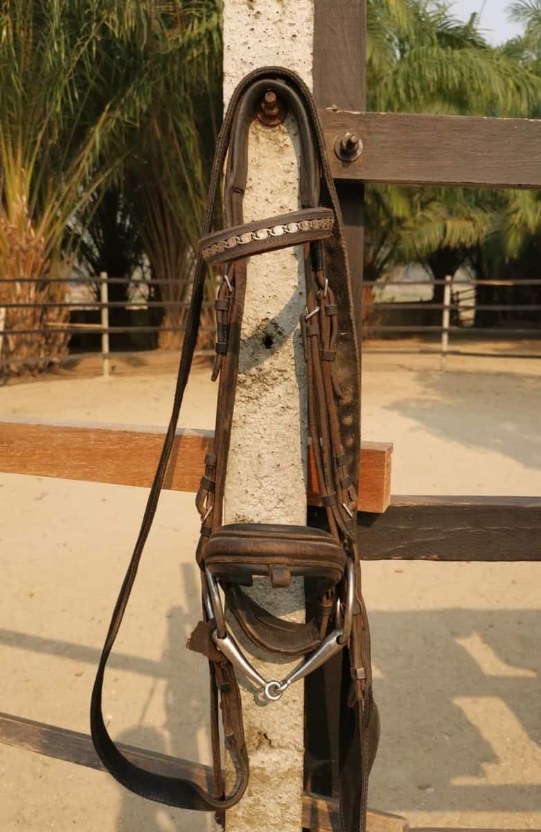 How to Tack Up a Horse An Illustrated StepbyStep Guide Horse Learner